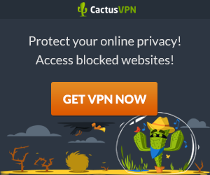 cactus vpn - wiseguy recommended